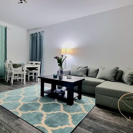 Swan Brasov Apartment Kültér fotó