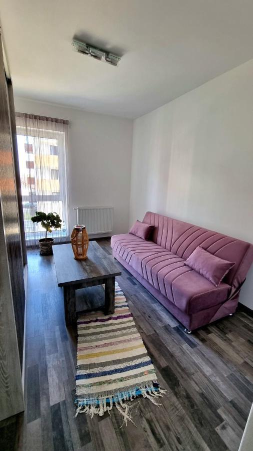 Swan Brasov Apartment Kültér fotó