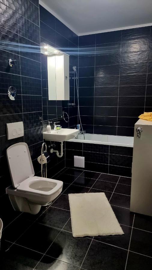 Swan Brasov Apartment Kültér fotó