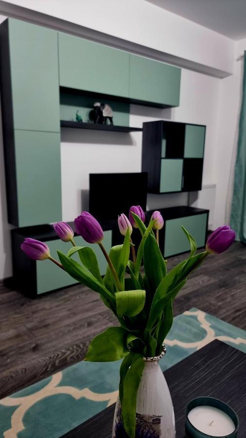 Swan Brasov Apartment Kültér fotó