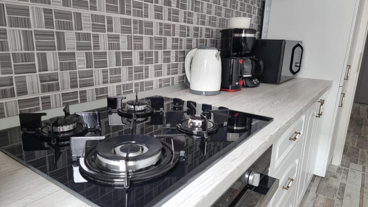 Swan Brasov Apartment Kültér fotó