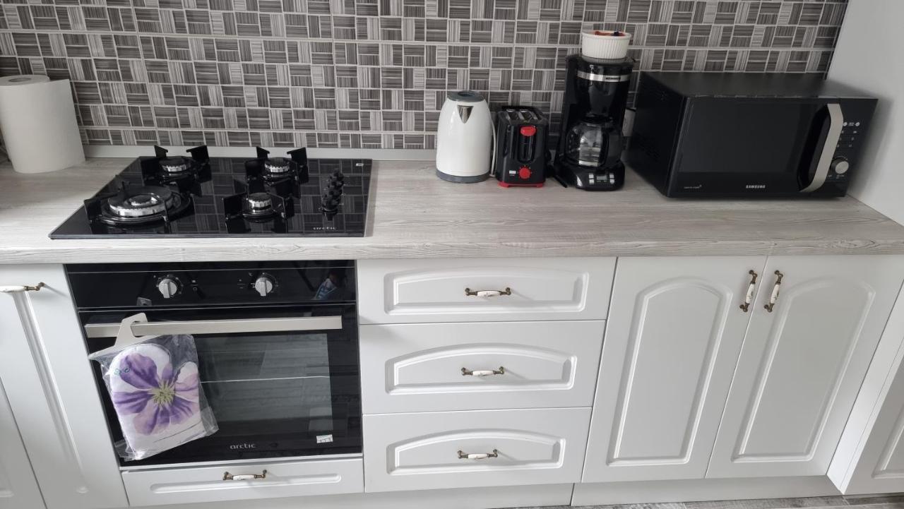 Swan Brasov Apartment Kültér fotó