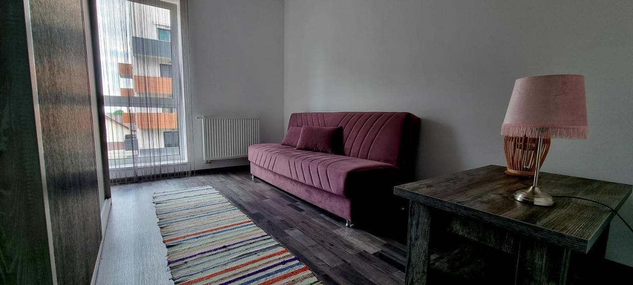Swan Brasov Apartment Kültér fotó